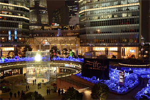 Shanghai's backyard garden provides us with a tranquil corner far from the hustle and bustle